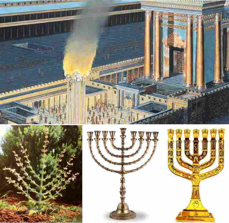 Ancient jewish feasts and the gospel john part 2 of 3 envision bible