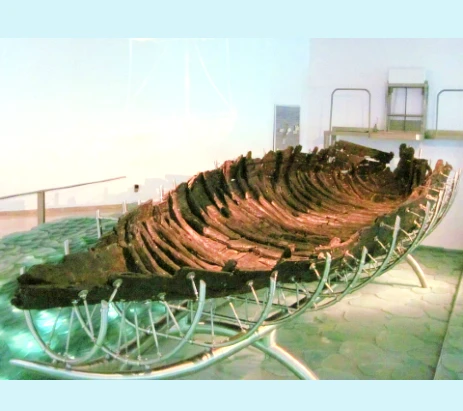 picture of a boat in a museum that's very shallow, mostly wooden ribs, propped up by a metal frame