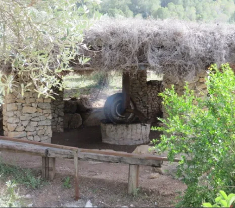 a picture of a shelter made from stone columns, a wooden framed roof covered with shurbs, and an ancient olive press underneath