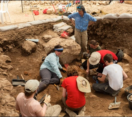 archaeologists digging A picture of volunteers in a hole dug for archaeological research